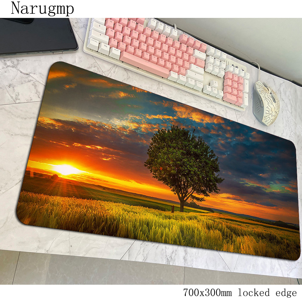 Sunset Mouse Pad Beautiful Ani - Pc Gaming World Of Warcraft recensie en prijs